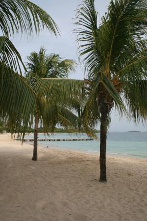 8a172cdb 8a2a 4a1a 84f2 A436797a124d Jpg